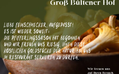 Die Pfifferlingssaison ist eröffnet!